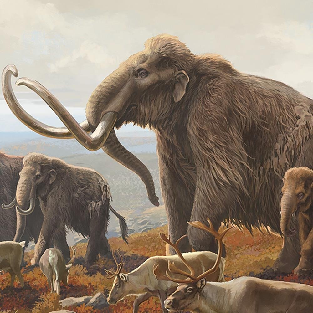 Difference-Between-Mammoth-and-Mastodon