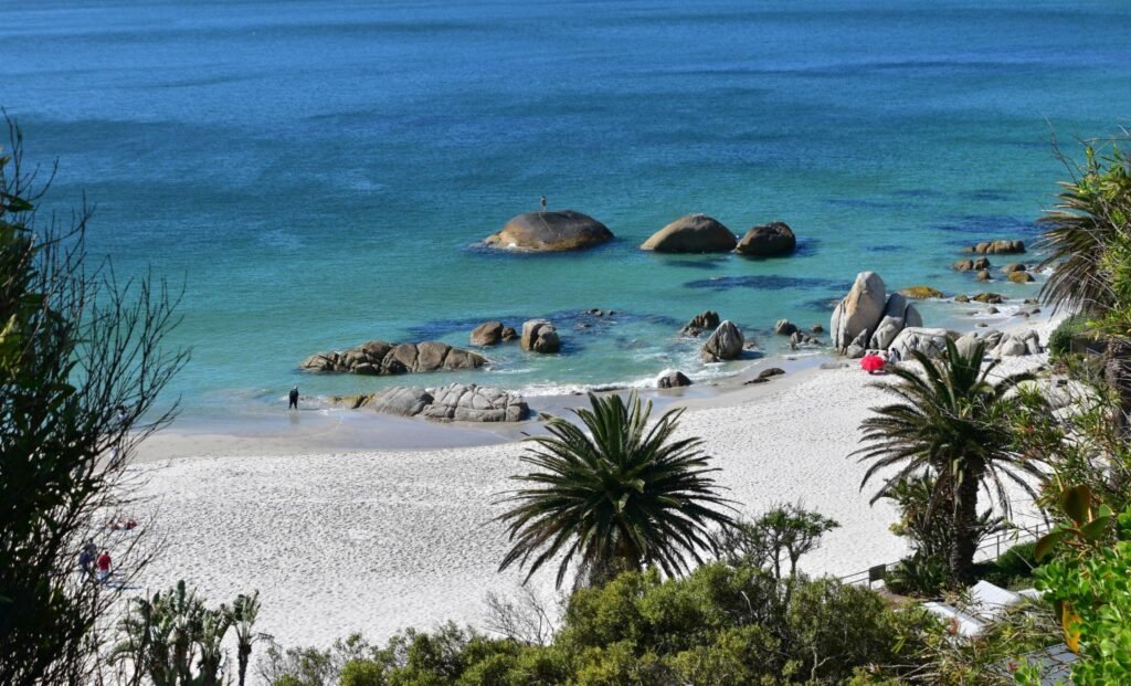 Difference-Between Bondi-and-Clifton
