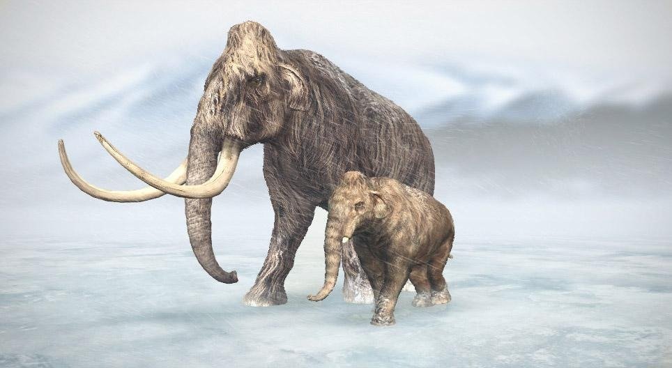 Difference-Between-Mammoth-and-Mastodon
